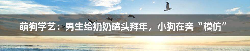 萌狗学艺:男生给奶奶磕头拜年,小狗在旁“模仿”