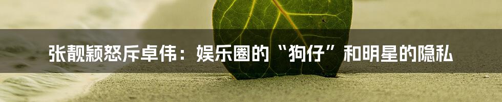 张靓颖怒斥卓伟:娱乐圈的“狗仔”和明星的隐私
