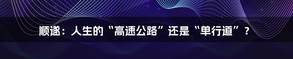 顺遂:人生的“高速公路”还是“单行道”?
