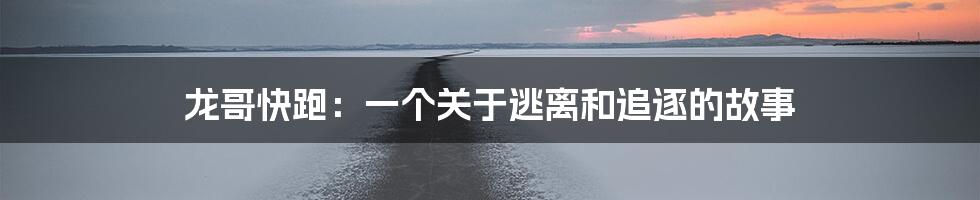 龙哥快跑:一个关于逃离和追逐的故事