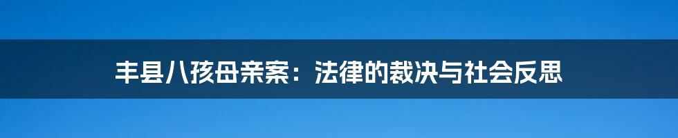 丰县八孩母亲案：法律的裁决与社会反思