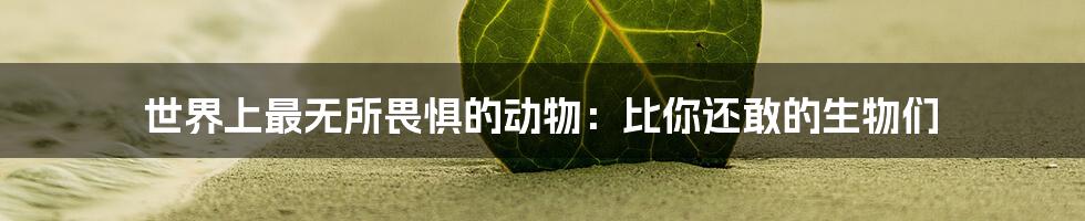 世界上最无所畏惧的动物:比你还敢的生物们