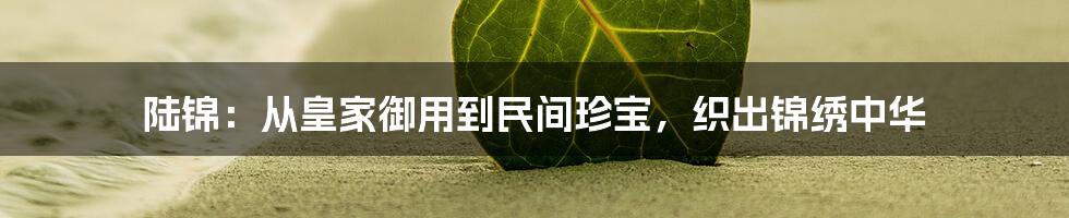 陆锦：从皇家御用到民间珍宝，织出锦绣中华