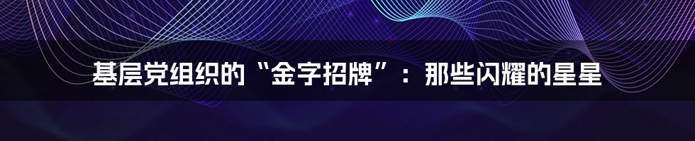 基层党组织的“金字招牌”:那些闪耀的星星