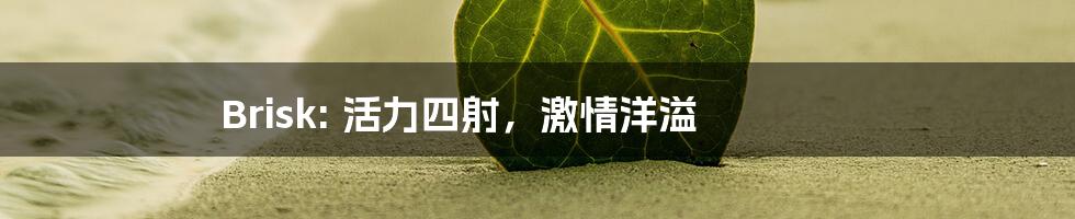 Brisk: 活力四射,激情洋溢