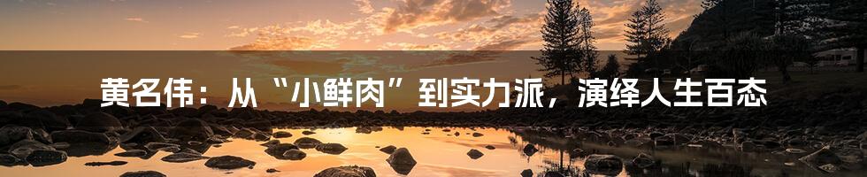 黄名伟:从“小鲜肉”到实力派,演绎人生百态