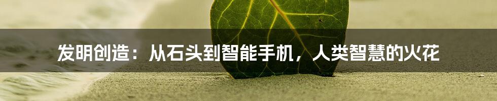 发明创造：从石头到智能手机，人类智慧的火花