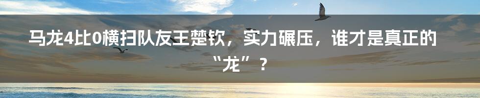 马龙4比0横扫队友王楚钦,实力碾压,谁才是真正的“龙”?