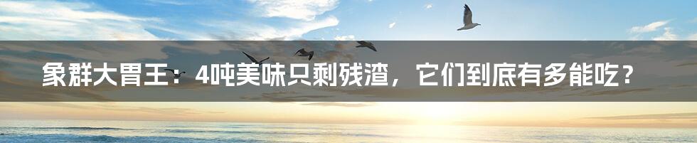 象群大胃王：4吨美味只剩残渣，它们到底有多能吃？