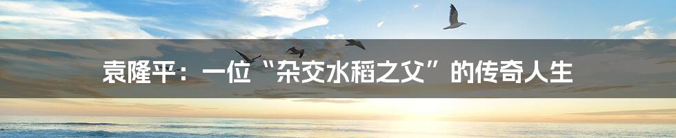 袁隆平:一位“杂交水稻之父”的传奇人生