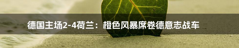 德国主场2-4荷兰:橙色风暴席卷德意志战车