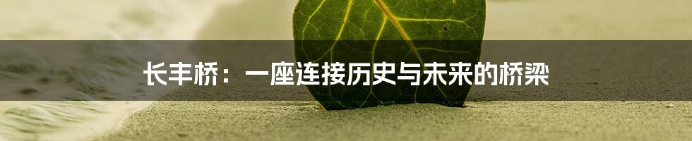 长丰桥:一座连接历史与未来的桥梁