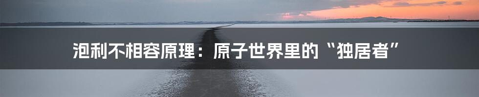 泡利不相容原理:原子世界里的“独居者”