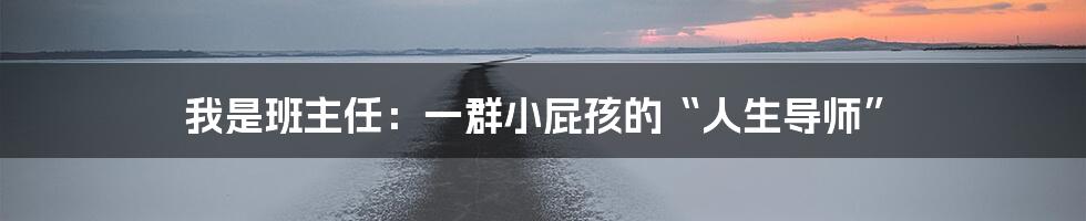 我是班主任:一群小屁孩的“人生导师”