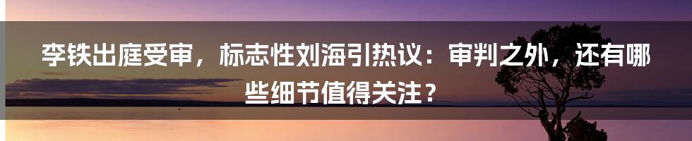 李铁出庭受审,标志性刘海引热议:审判之外,还有哪些细节值得关注?