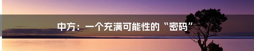 中方：一个充满可能性的“密码”