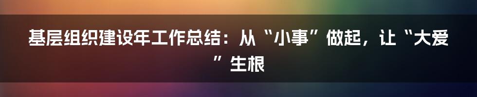 基层组织建设年工作总结:从“小事”做起,让“大爱”生根