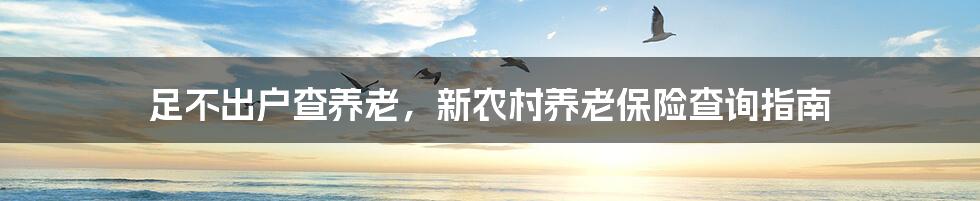 足不出户查养老，新农村养老保险查询指南