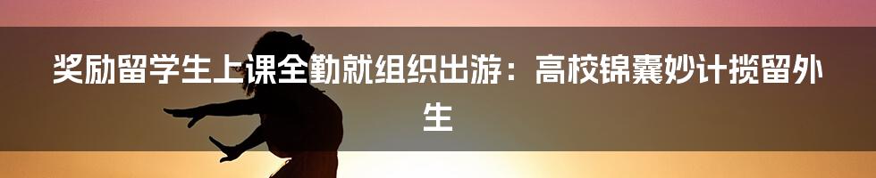 奖励留学生上课全勤就组织出游:高校锦囊妙计揽留外生