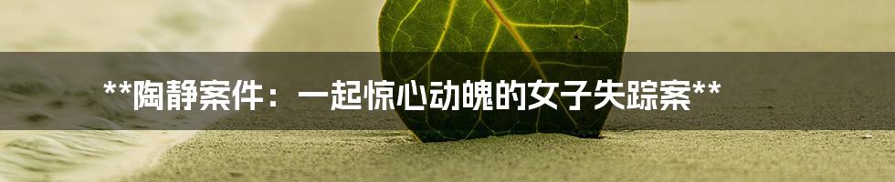 **陶静案件:一起惊心动魄的女子失踪案**