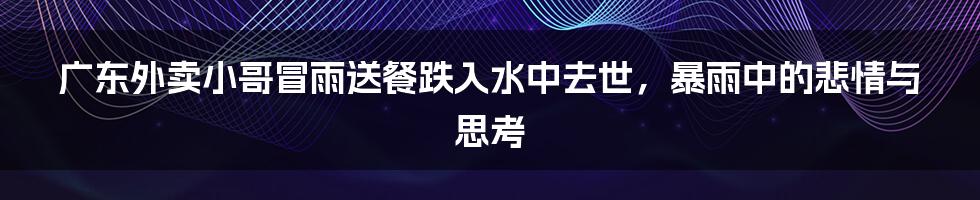 广东外卖小哥冒雨送餐跌入水中去世,暴雨中的悲情与思考