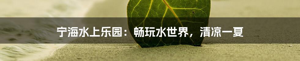 宁海水上乐园:畅玩水世界,清凉一夏