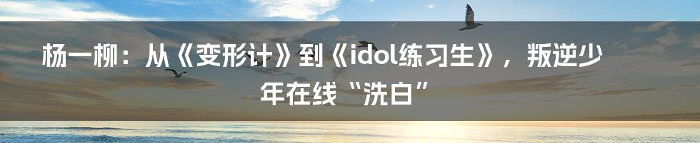 杨一柳：从《变形计》到《idol练习生》，叛逆少年在线“洗白”