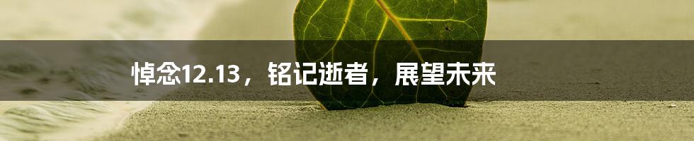 悼念12.13，铭记逝者，展望未来