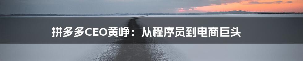 拼多多CEO黄峥：从程序员到电商巨头