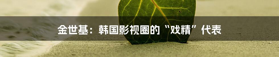 金世基:韩国影视圈的“戏精”代表