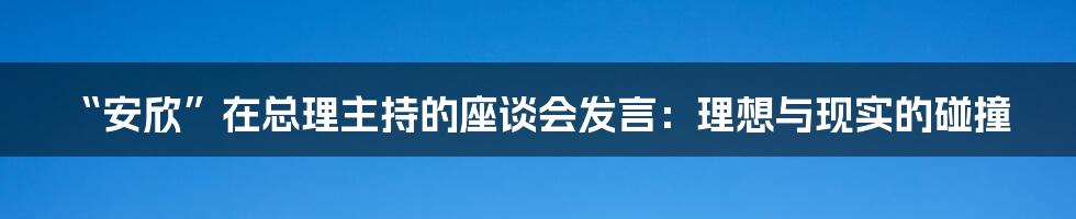 “安欣”在总理主持的座谈会发言:理想与现实的碰撞