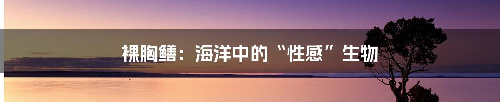 裸胸鳝：海洋中的“性感”生物