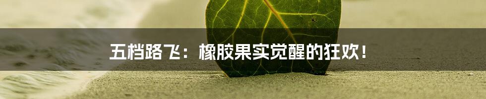五档路飞:橡胶果实觉醒的狂欢!