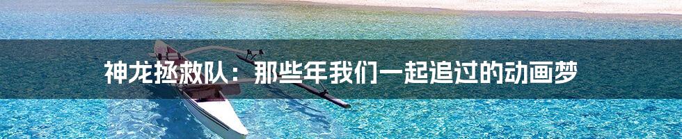 神龙拯救队:那些年我们一起追过的动画梦