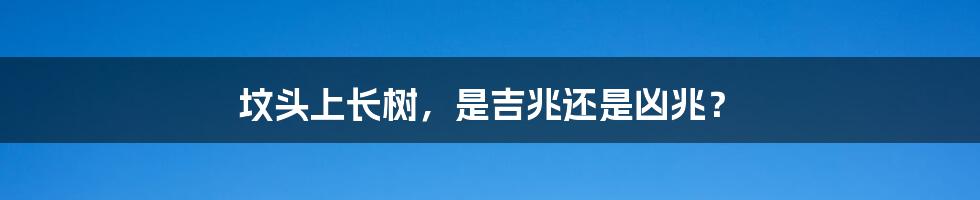 坟头上长树,是吉兆还是凶兆?