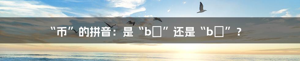 “币”的拼音:是“bì”还是“bǐ”?