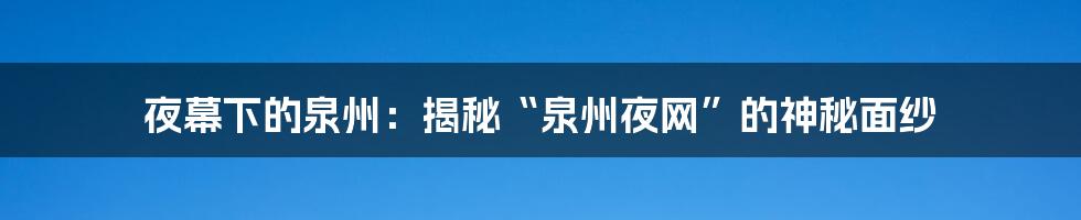 夜幕下的泉州:揭秘“泉州夜网”的神秘面纱