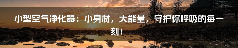 小型空气净化器:小身材,大能量,守护你呼吸的每一刻!