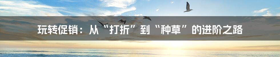 玩转促销:从“打折”到“种草”的进阶之路
