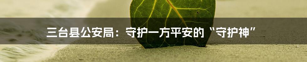 三台县公安局:守护一方平安的“守护神”