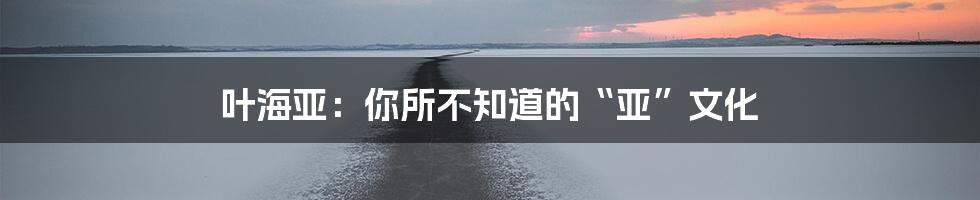 叶海亚:你所不知道的“亚”文化