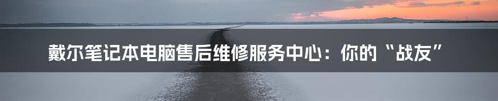 戴尔笔记本电脑售后维修服务中心:你的“战友”