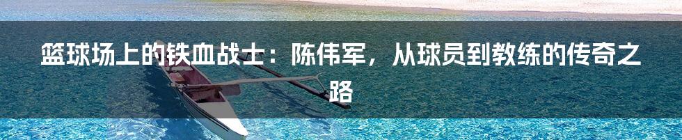 篮球场上的铁血战士:陈伟军,从球员到教练的传奇之路