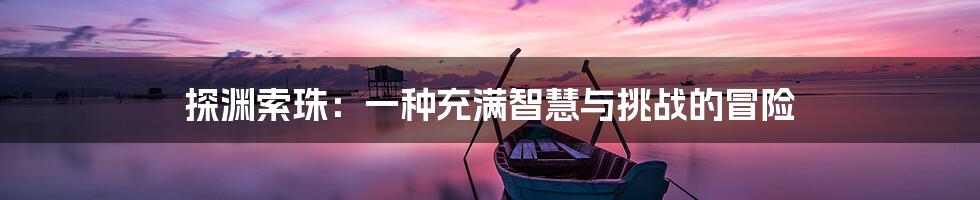 探渊索珠:一种充满智慧与挑战的冒险