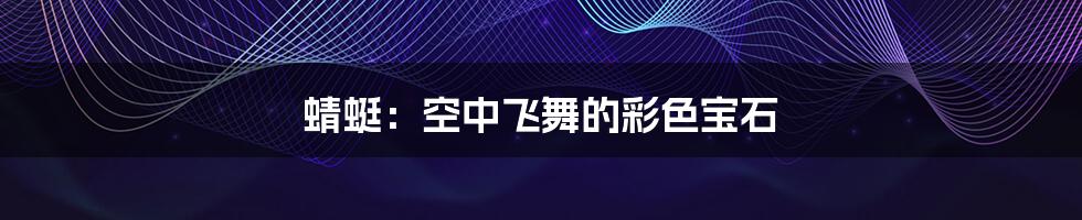 蜻蜓:空中飞舞的彩色宝石