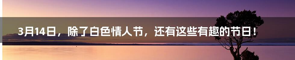 3月14日,除了白色情人节,还有这些有趣的节日!