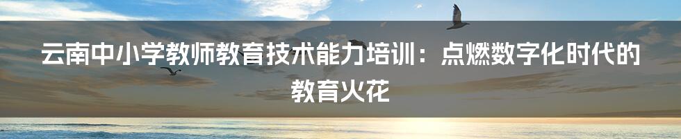 云南中小学教师教育技术能力培训:点燃数字化时代的教育火花