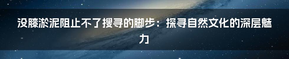 没膝淤泥阻止不了搜寻的脚步:探寻自然文化的深层魅力