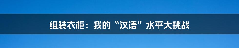 组装衣柜:我的“汉语”水平大挑战