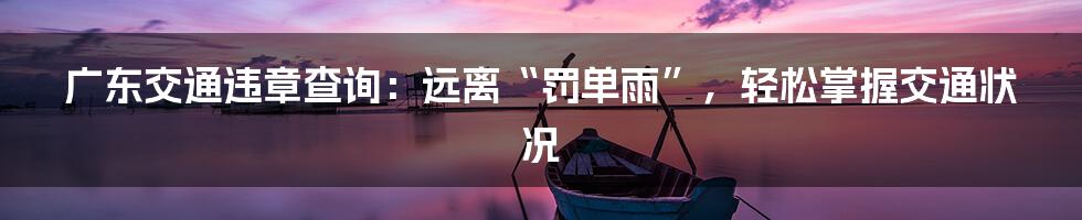 广东交通违章查询:远离“罚单雨”,轻松掌握交通状况